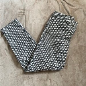 Express Patterned Editor Pants